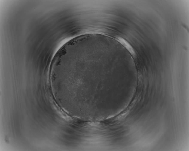 X0000097791052200803141825
