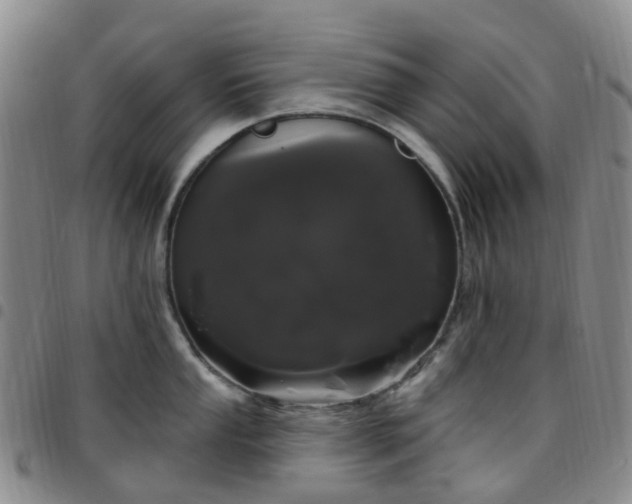 X0000097791053200803141825