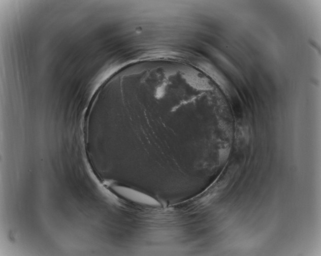 X0000097791055200803141825