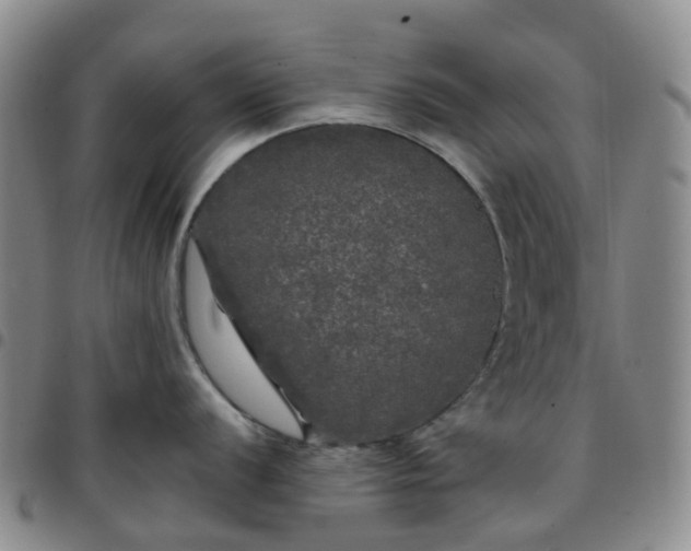 X0000097791056200803141825