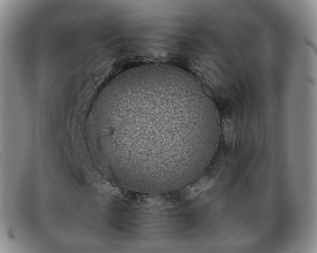X0000097791057200803141824