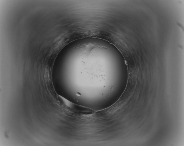 X0000097791058200803141824