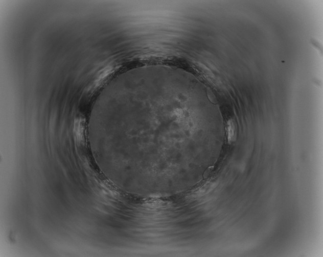 X0000097791059200803141824