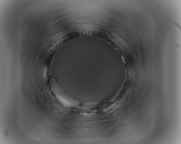 X0000097791060200803141824