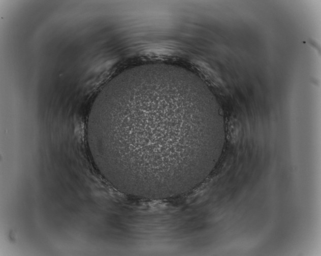 X0000097791061200803141824