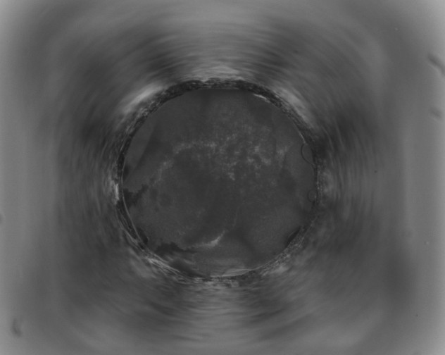 X0000097791063200803141824