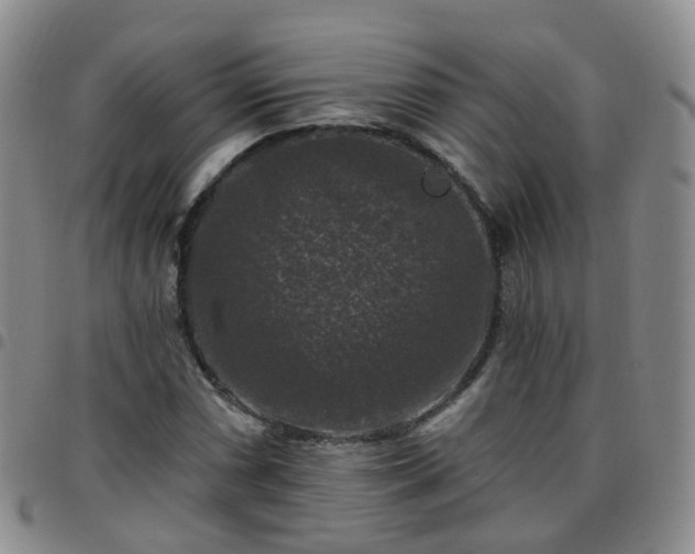 X0000097791066200803141824