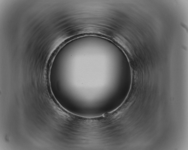 X0000097791068200803141824