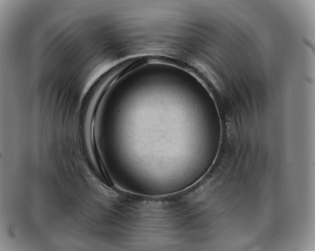 X0000097791069200803141824