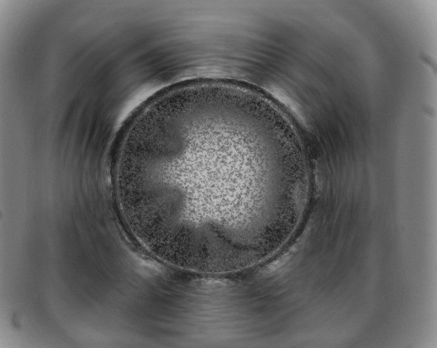 X0000097791070200803141824