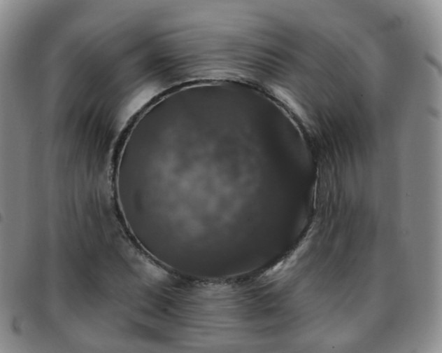 X0000097791071200803141824