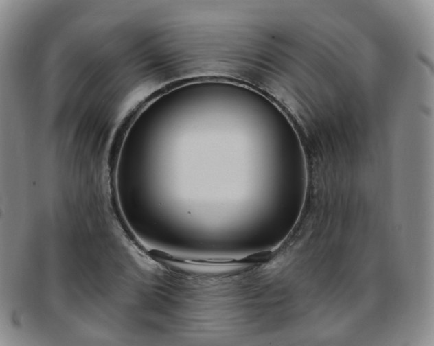 X0000097791072200803141824