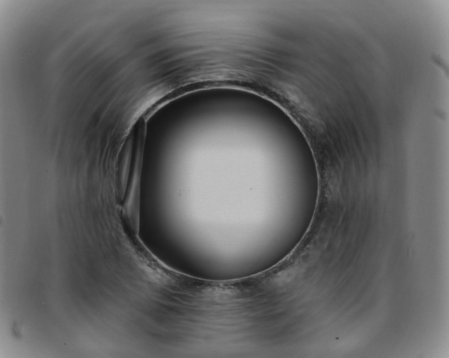 X0000097791073200803141824