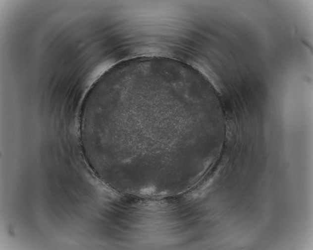 X0000097791074200803141824