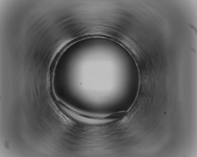 X0000097791076200803141824