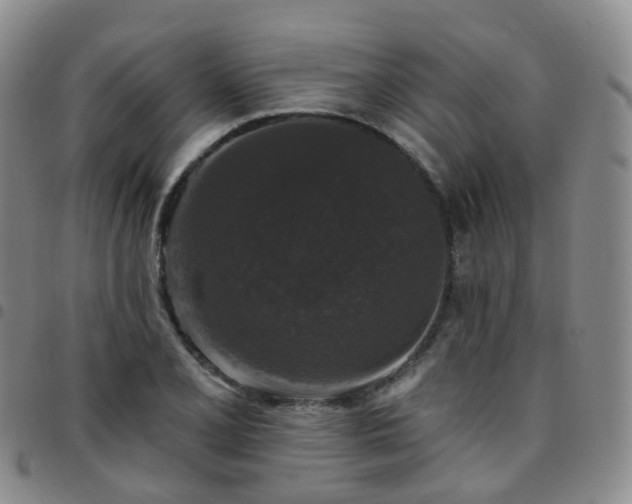 X0000097791077200803141824