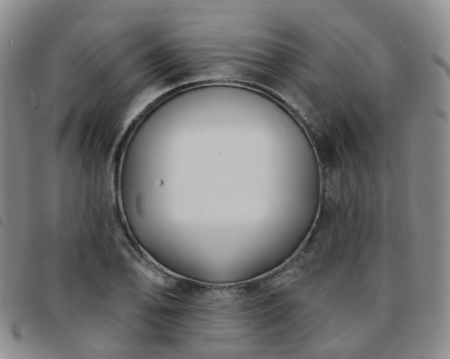 X0000097791078200803141824