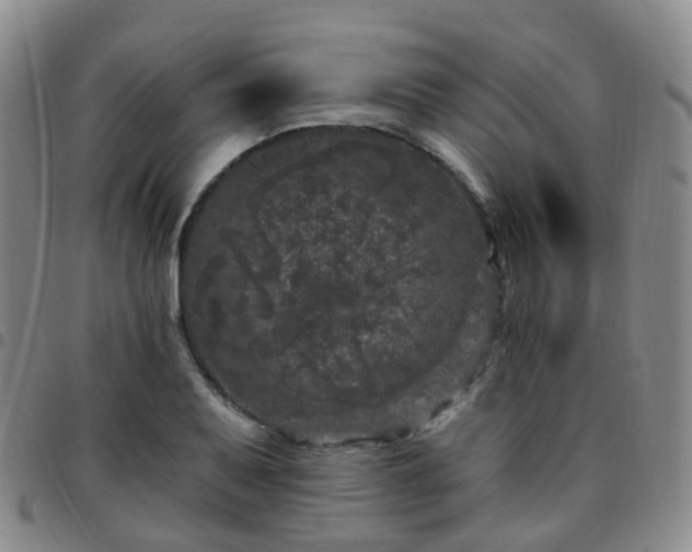 X0000097791079200803141824