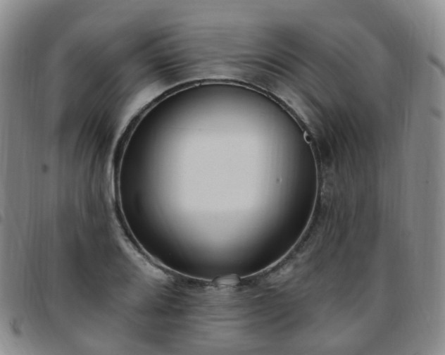 X0000097791080200803141824