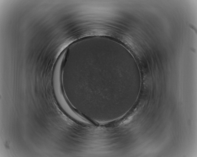 X0000097791081200803141824