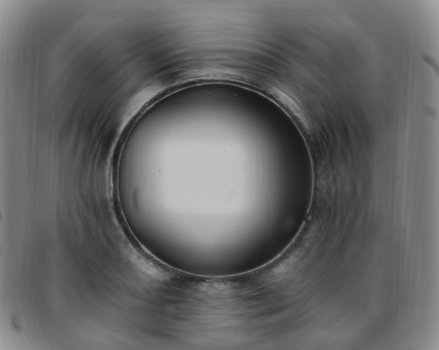X0000097791082200803141824