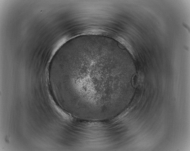 X0000097791083200803141824