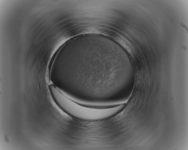 X0000097791084200803141824