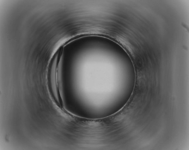 X0000097791085200803141824