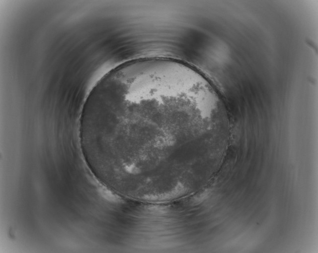 X0000097791086200803141824