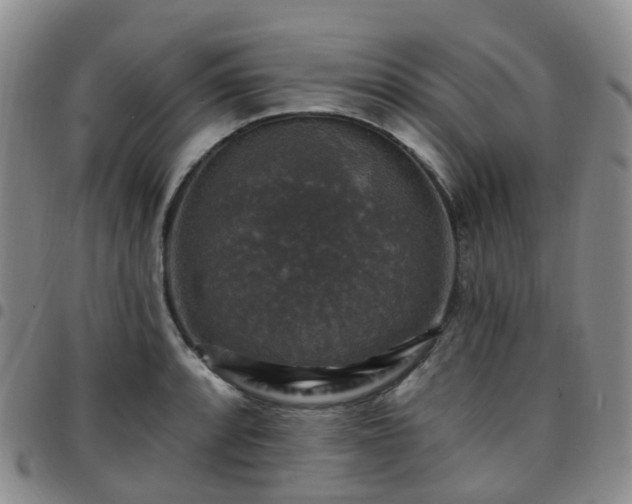 X0000097791088200803141824