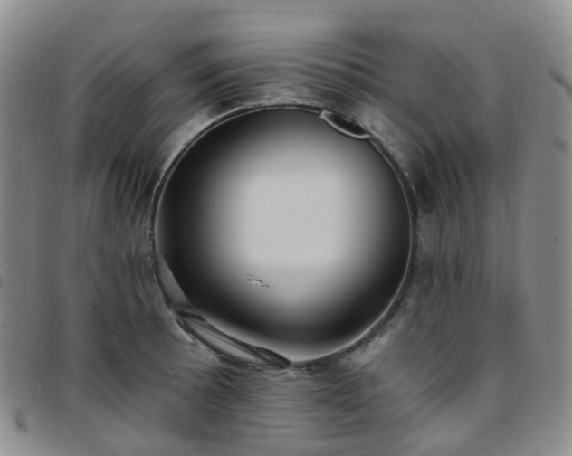 X0000097791089200803141824
