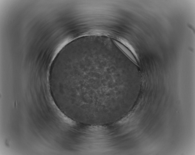 X0000097791091200803141824
