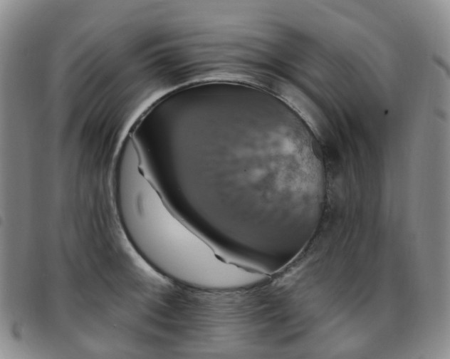 X0000097791092200803141824