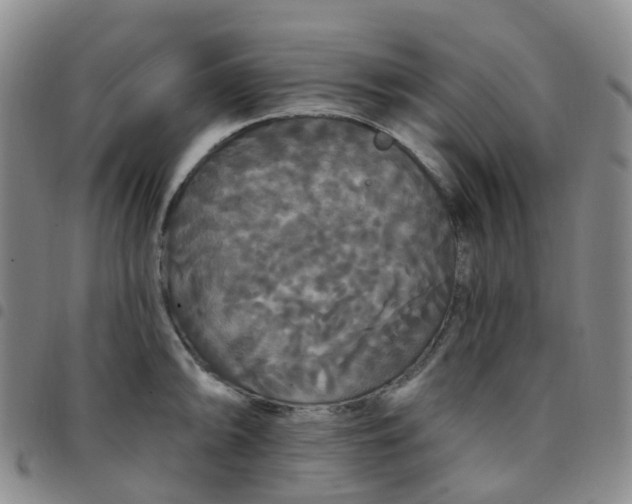 X0000097791094200803141824