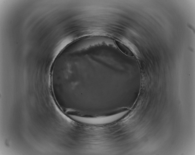X0000097791095200803141824