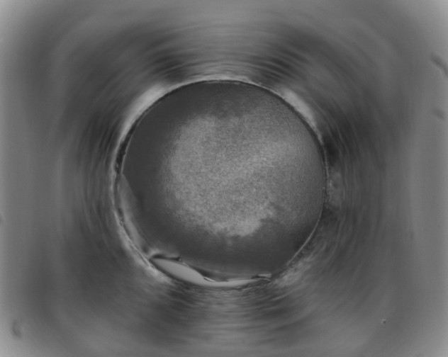 X0000097791096200803141824