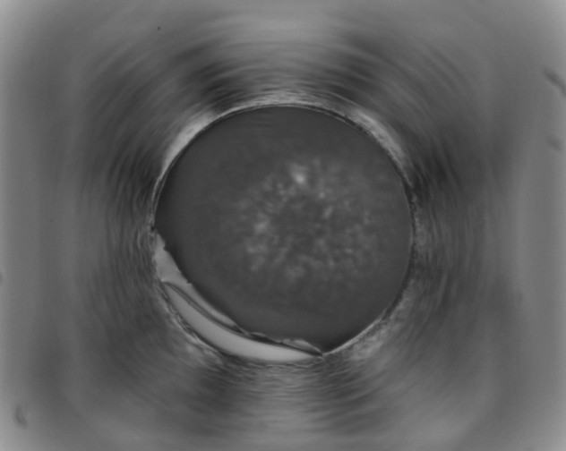 X0000097791097200803141823