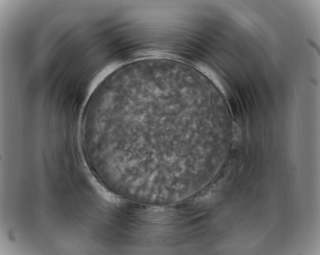 X0000097791098200803141823
