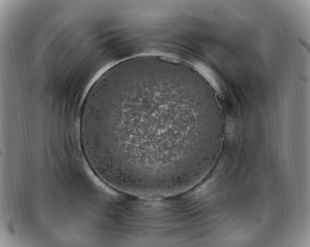X0000097791100200803141823