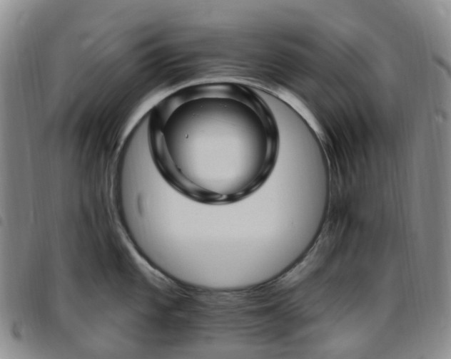 X0000097791101200803141823