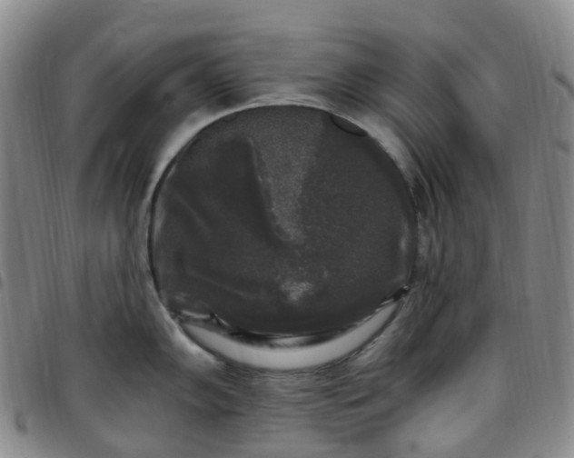 X0000097791102200803141823