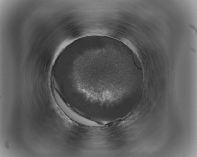 X0000097791104200803141823