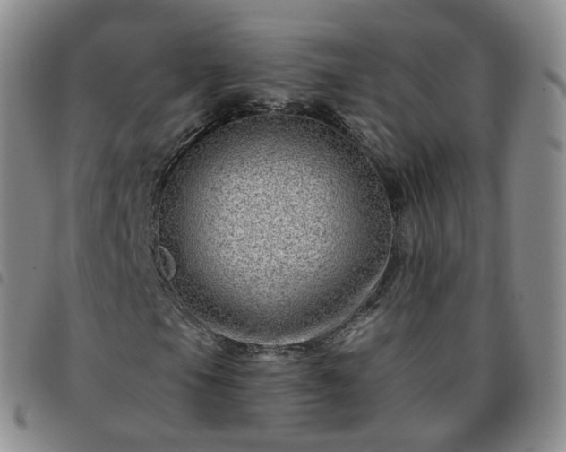 X0000097791105200803141823