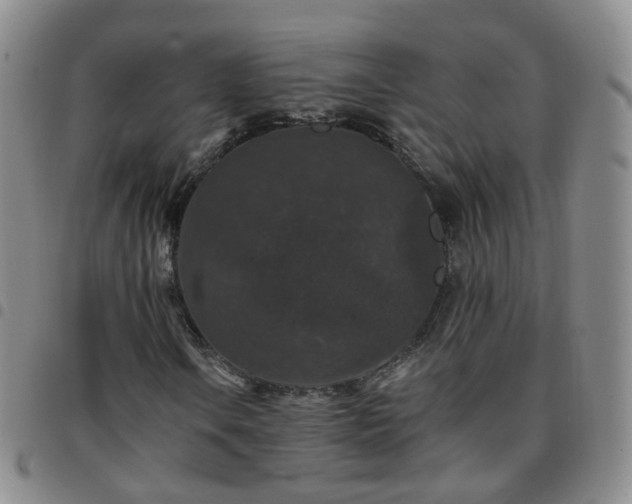 X0000097791106200803141823