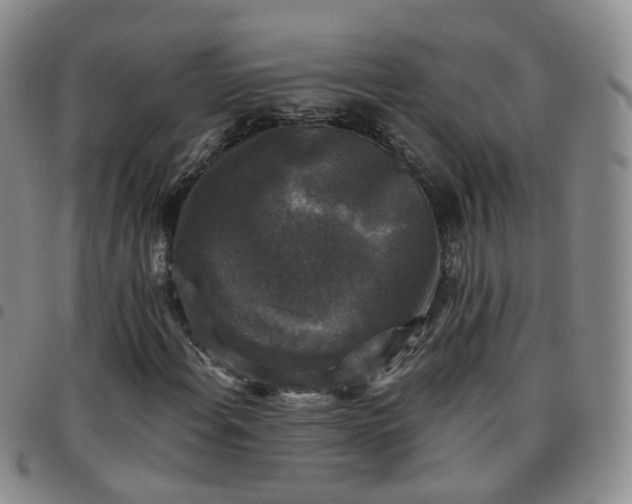 X0000097791108200803141823