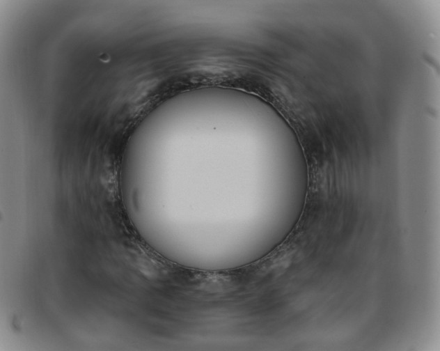 X0000097791109200803141823
