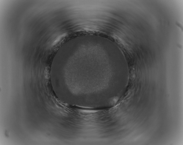 X0000097791110200803141823