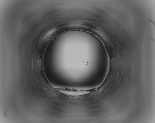 X0000097791111200803141823