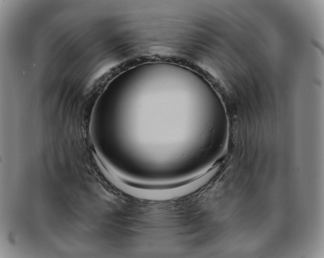 X0000097791112200803141823