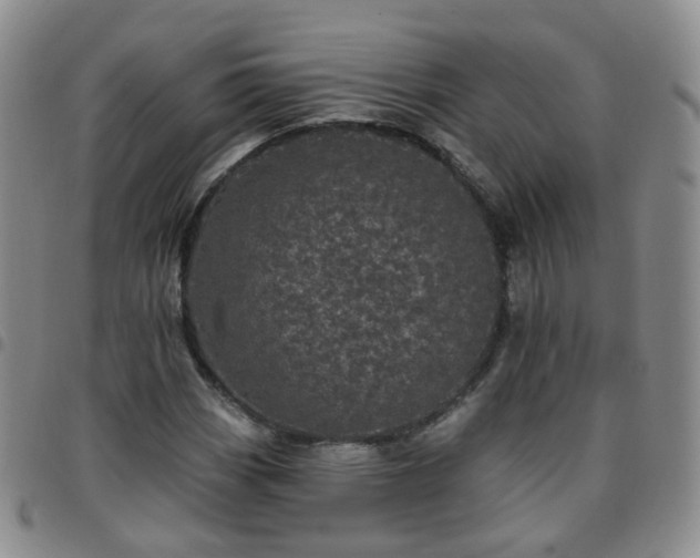 X0000097791113200803141823